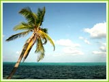 Lakshdweep Beach