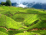 Kerala Hill Station